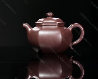 六角蓮子 六角蓮子