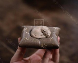 《貓咪睡墊》 《貓咪睡墊》