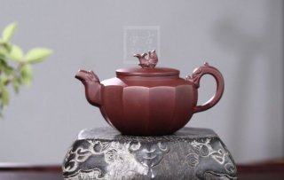 《魚龍戲壺》 《魚龍戲壺》