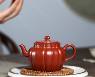 筋紋蓮花 筋紋蓮花