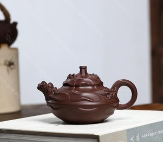 風(fēng)卷葵 風(fēng)卷葵