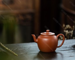 平蓋蓮子 平蓋蓮子