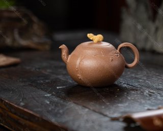 松鼠葡萄 松鼠葡萄