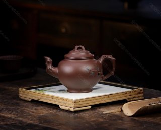 報(bào)春 報(bào)春