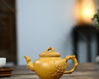 報(bào)春 報(bào)春