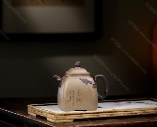 小四方勁松 小四方勁松